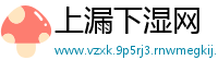 上漏下湿网